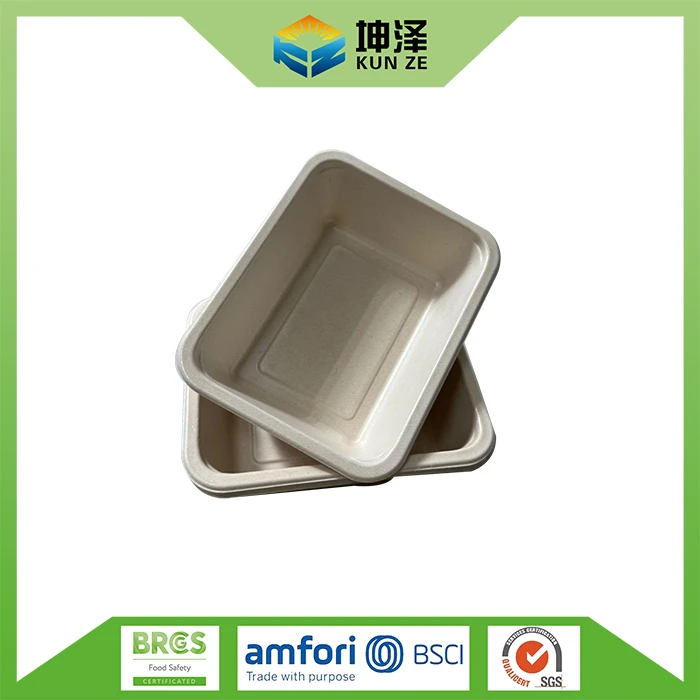 Biodegradable Small Lunch Tray