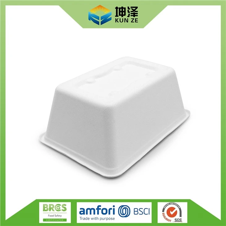 Disposable Lunch Box Container