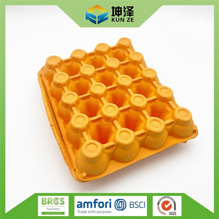Pulp Egg Carton