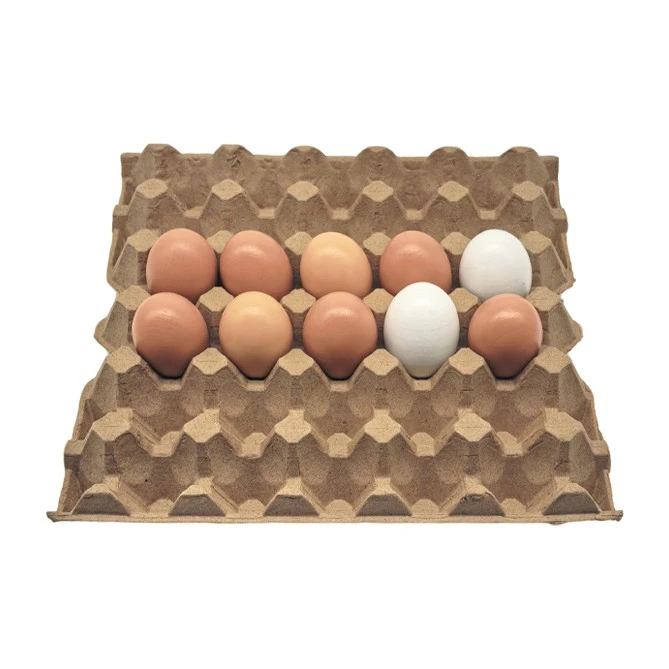 30 Egg Holder suppliers
